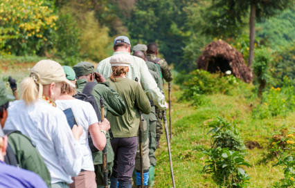 Reasons to Visit Rwanda – Why the Land of a Thousand Hills Should Be on Your Travel List Reasons to Visit Rwanda – Why the Land of a Thousand Hills Should Be on Your Travel List
