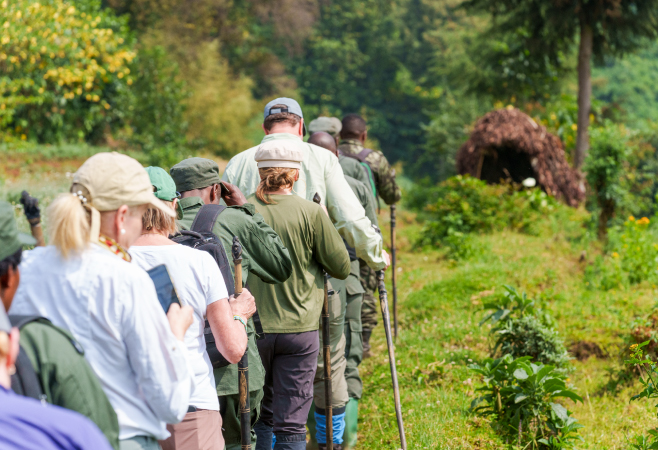 Gorilla Trekking in Volcanoes National Park