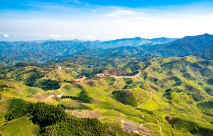 Rwanda Terrain: Exploring the Landscape of the “Land of a Thousand Hills