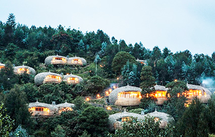 Best Rwanda Gorilla Lodges: Where to Stay for an Unforgettable Gorilla Trek Best Rwanda Gorilla Lodges: Where to Stay for an Unforgettable Gorilla Trek