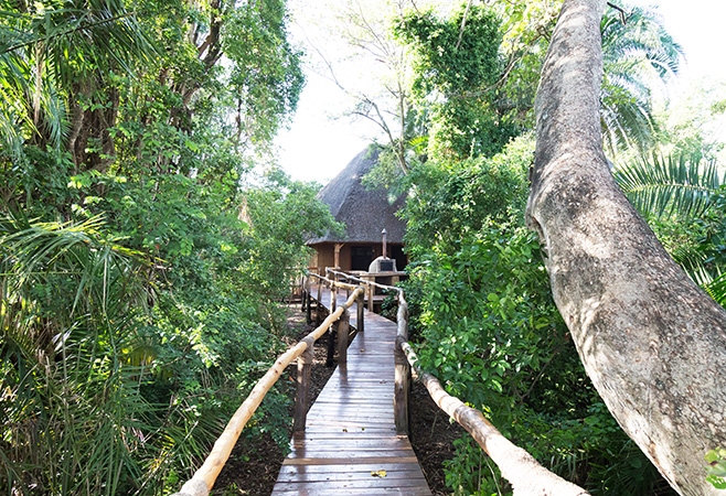 Ruzizi Tented Lodge, RWANDA