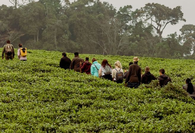 Visit Nyanza Rwanda