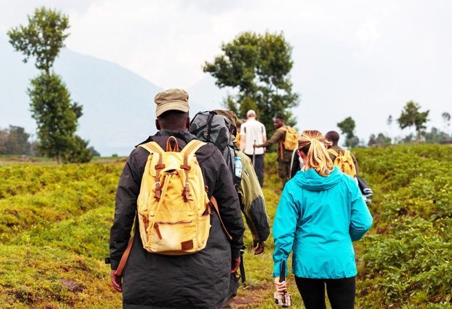 Tourists trekking through Volcanoes National Park