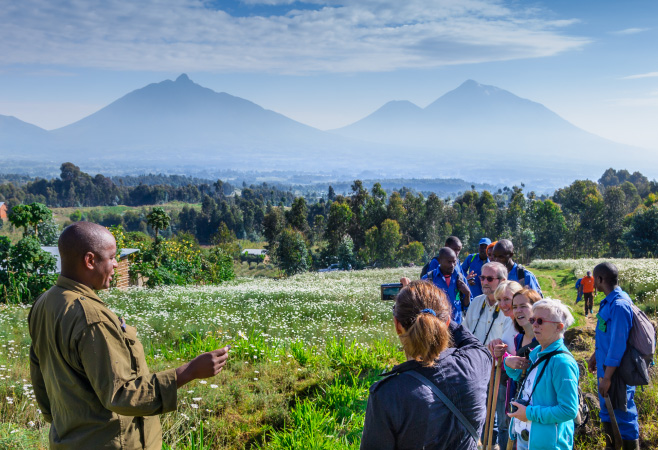 A group of tourists is climbing up the slopes to Gorillas