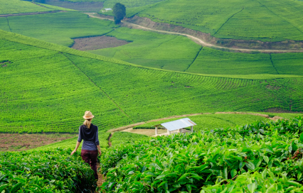 Solo Woman Travel Rwanda: A Safe, Inspiring Journey in the Heart of Africa Solo Woman Travel Rwanda: A Safe, Inspiring Journey in the Heart of Africa