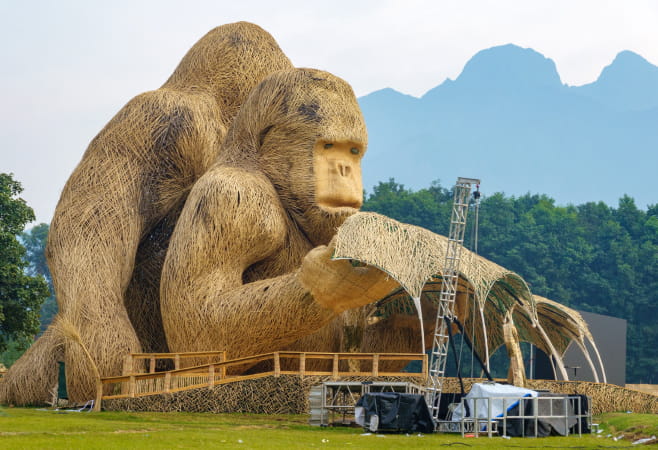 Gorilla trekking in Rwanda and large stick sculptures erected to celebrate Gorilla Naming Day