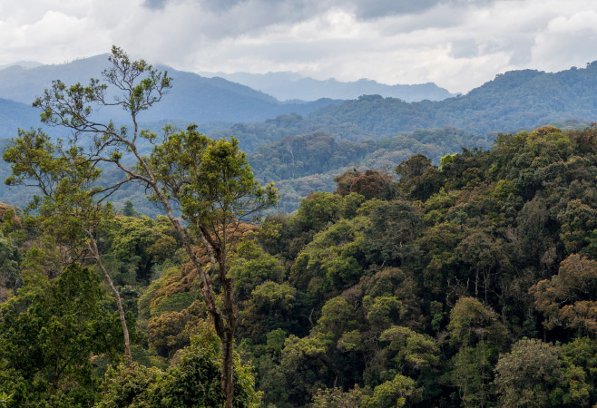 Mountains on the border between Uganda and Rwanda