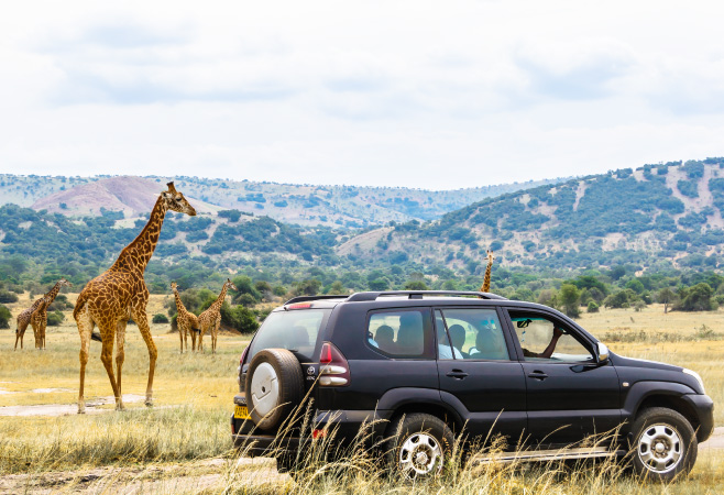 Off-road car with tourists and giraffes in Akagera National Park, Rwanda
