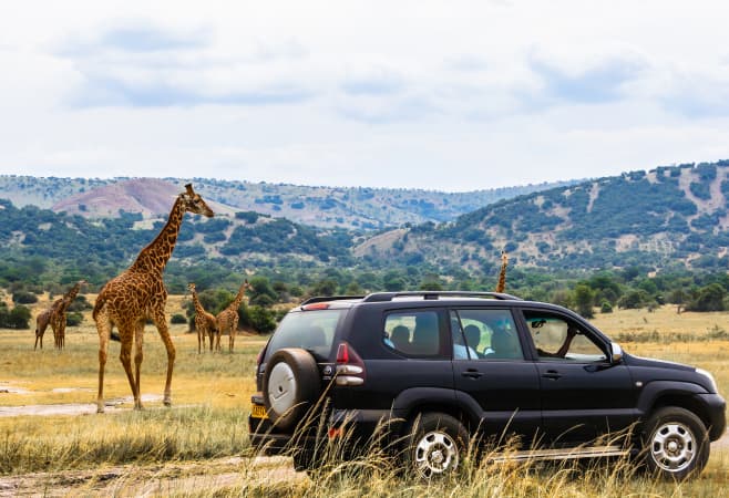 Safari off-road car with tourists and giraffes in Akagera National Park, Rwanda, Africa