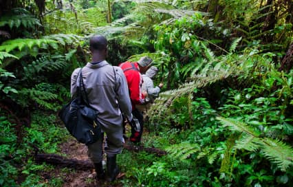 Rwanda Adventures Travel: A Guide to Thrilling Experiences in the Land of a Thousand Hills Rwanda Adventures Travel: A Guide to Thrilling Experiences in the Land of a Thousand Hills