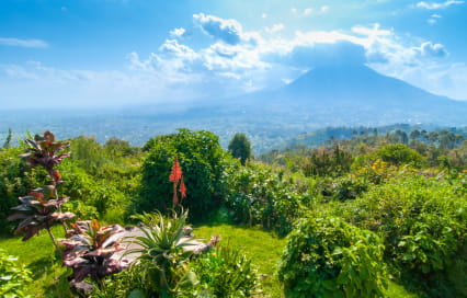 Mount Sabyinyo Hike: A Complete Guide to Rwanda’s Most Unique Volcano Adventure Mount Sabyinyo Hike: A Complete Guide to Rwanda’s Most Unique Volcano Adventure
