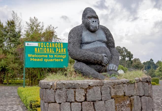 Statue of a mountain gorilla at the entrance of Volcanoes National Park in Kinigi, Rwanda