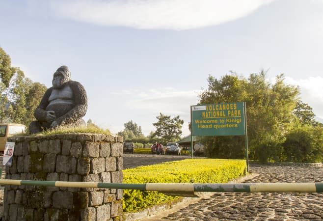 Volcanoes National Park, Rwanda